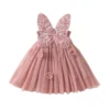 2023-05-16 Lioraitiin 0-4Years Butterfly Wings Girl Fairy Dress First Birthday Dress Flower Wedding Dress - B - 2T - United States